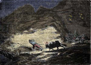Een schipbreukeling (piraat) gebruikt een licht dat aan de kop van een os hangt om schepen te misleiden die dan de kust naderen en in handen vallen van plunderaars. Gravure uit de 19e eeuw