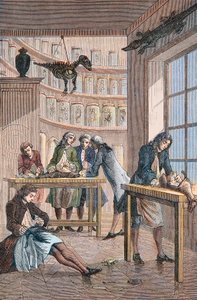 Albrecht von Haller (1708-1777) in zijn laboratorium in Bern, Zwitserland