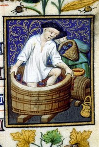 Allegorische voorstelling van september. Oogst, druiven plukken. Miniatuur van een 14e-eeuws manuscript door Unknown artist