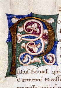 Alfabet: miniatuurletter P