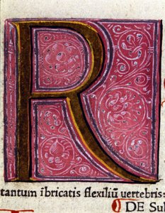 Alfabet: miniatuurletter R door Unknown artist