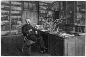 Alphonse Milne Edwards door Unknown artist