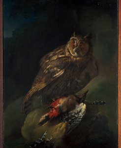 Een uil met zijn prooi