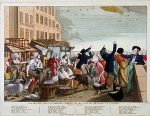 Verschijning van de beroemde komeet (1811) gezien vanaf de Quai de la Vallee in Parijs door Unknown artist