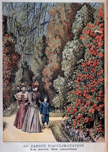 In de acclimatisatietuin: de serre van de camelia
