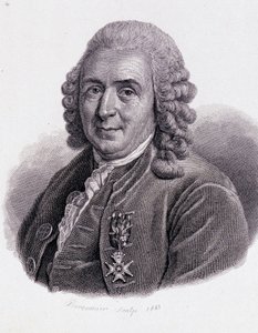 Carl Von Linné Zweedse natuurkundige en schrijver (1707 - 1778) door Unknown artist