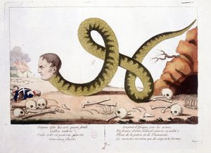 Cartoon over Napoleon I afgebeeld als een slang. Slang van Afrika onder de wapens, in Frankrijk kwam hij eerst om zijn naaktheid te bedekken; Gesel van vaderland en mensheid, het monster leefde alleen van bloed en tranen. - in Napoleon I, karikaturen, dumm door Unknown artist