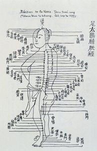 Chinese acupunctuur: de meridiaan van de blaas