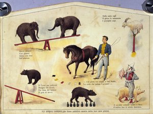 Circus: een bord dat verschillende soorten shows van geleerde dieren toont met olifanten, een geit, een beer, paarden en een varken. Illustratie van de 19e eeuw