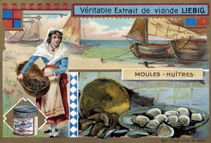 Collectie van mosselen en oesters - chromo. Liebig, ca. 1900