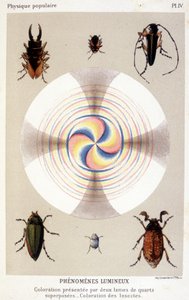 Kleuring gepresenteerd door twee overlappende kwartsbladen, kleurende insecten - in 