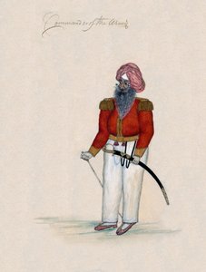 Bevelhebber van het leger