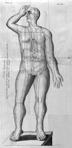 De Acupunctura door W. Ten Rhijne. Londen 1683. Eerste westerse tekst over acupunctuur door Unknown artist