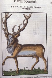 Hert na Historiae animalium door Konrad Gesner, Tiguri