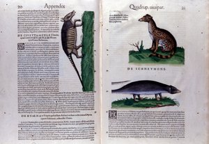 Dubbele pagina van Historia Animalium door Conrad Gesner, Tiguri