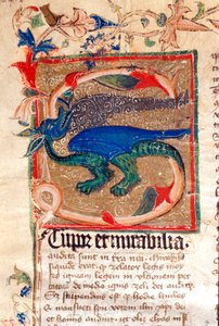 Draak Gedecoreerde Initiaal (detail van een 14e-eeuws manuscript)