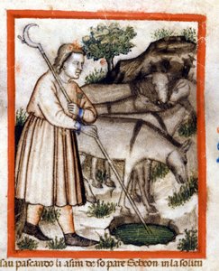 Esa graast ezels - de Pentateuch. Miniatuur uit codex 212 (of padovano codice of Bijbel van Padua) 1390-1400 Rovigo, Accademia dei Concordi door Unknown artist
