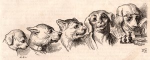 Evolutie van een hond naar een menselijke vorm door Unknown