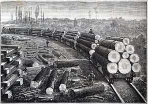 Exploitatie van Amerikaanse bossen. Tijdelijke spoorwegen met houten spoor. Wagons die boomstammen vervoeren. Gravure in 
