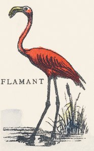 F: Flamingo door Unknown artist