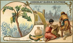 Stof gemaakt met de vezel van bananenschillen. Chromolithografie, verpakking van Guérin Boutron chocolade.