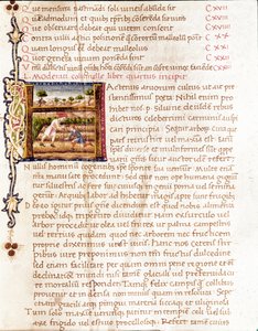 Boeren die wijngaarden planten (miniatuur) door Unknown artist