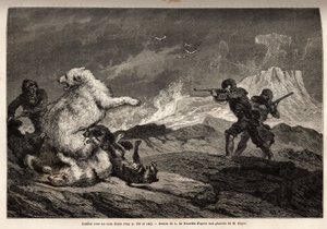 Gevecht met een ijsbeer die haar jong beschermt, de roedel honden valt haar aan en de jagers, gewapend met geweren, wachten op het juiste moment om haar neer te schieten. Gravure ter illustratie van de reis naar de vrije zee van de Noordpool, door dokter H