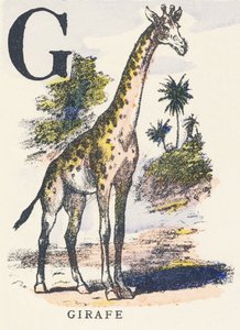 G: giraffe door Unknown artist