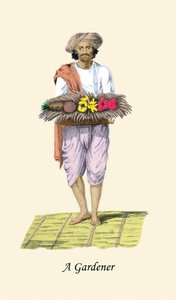 Tuinman