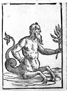 Glaucos met het magische gras dat hem in staat zal stellen in de zee te leven - in Mythologiae sive explicationis fabularum van Natalis Comitis. Patavia door Unknown artist