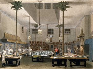 Grand Hotel: de keukens van het Great Pavillon Hotel in Brighton. 1850 door Unknown artist
