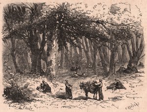 Groep mensen die paddenstoelen plukken in het bos van Fontainebleau door Unknown