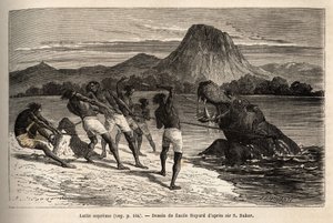 Nijlpaardjacht met de Houarti-stam, met harpoenen en speren, het woedende dier laadt en verzet zich. Gravure ter illustratie van de verkenning van de Abessijnse zijrivieren van de Nijl, door Sir Samuel W. Baker, in 1861-62, gepubliceerd in 