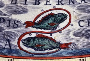 Horoscoop: sterrenbeeld Vissen. 16e-eeuwse gravure door Unknown artist