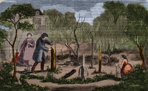Tuinbouw: belangrijkste methoden van plantentransplantatie. Gravure uit 1860 door Unknown artist