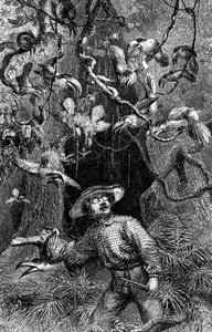 Illustratie "De naturalist op de rivier de Amazone" door Henry Walter Bates (gravure)
