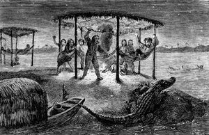 Illustratie "De naturalist op de rivier de Amazone" door Henry Walter Bates (gravure) door Unknown artist
