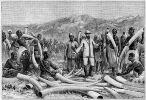 Ivoor in Afrika: olifantenslagtanden verzameld door Emin Pacha (Eduard Schnitzer, bekend als Mohammed Emin Pacha)