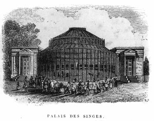 Jardin des Plantes in Parijs in 1861: paleis van de apen. door Unknown artist