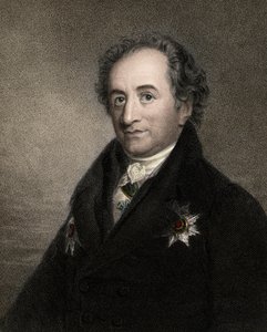 Johann Wolfgang von Goethe 1749-1832 - gravure - 19e eeuw door Unknown artist