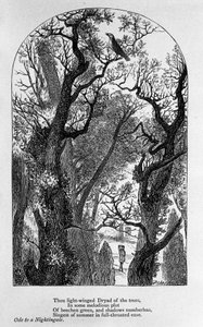 John Keats: Ode aan een nachtegaal