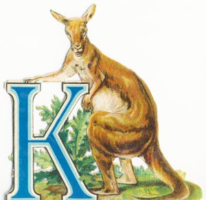 K: Kangoeroe