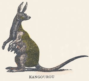 K: kangoeroe