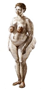 De Hottentot Venus, vrouw van het Bochiman-ras, gravure uit 1815. door Unknown artist