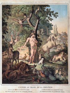 De mens in het midden van de Schepping - in "Histoire Sainte", ed. Hachette