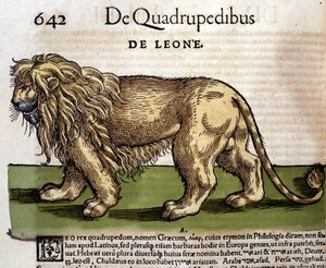 Leeuw na de Historia Animalium door Conrad Gesner, Tiguri 1560. Biblioteca nazionale Braidense. Milaan
