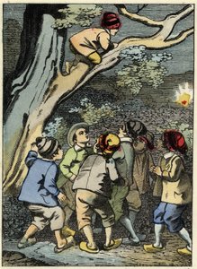 Klein Duimpje klimt in een boom en zoekt zijn weg. Hij pakt een lichtje in het bos. Illustratie van Charles Perrault