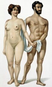 Man en vrouw - boek over geneeskunde, eind 19e eeuw door Unknown artist