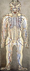 Geneeskunde. Diagram van het menselijk lichaam uit een acupunctuur verhandeling. Privébibliotheek, Milaan door Unknown artist