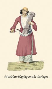 Muzikant die de Saringee bespeelt